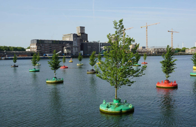 Bobbing Forest di Rotterdam: la natura fluttua tra cemento e acqua