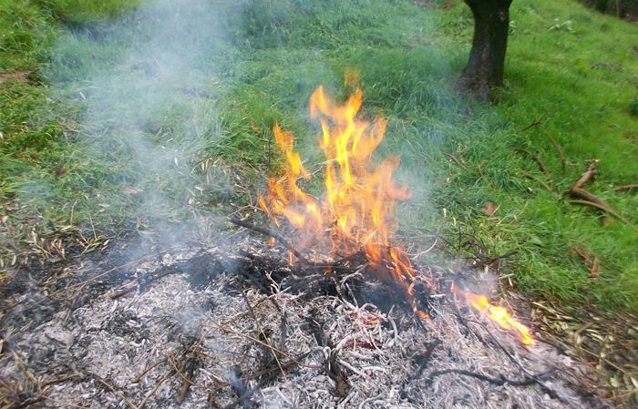 bruciare ramaglie campolibero