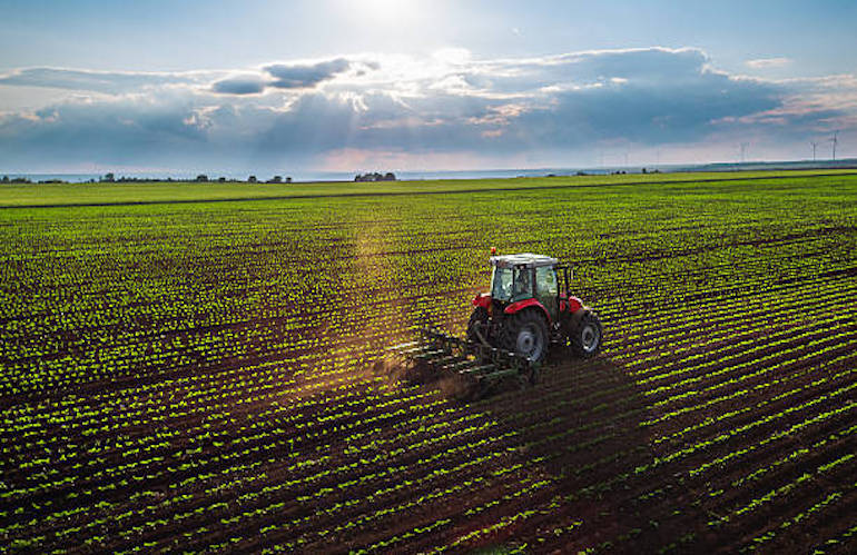 UE: La 'Nature Restoration Law' minaccia la produttività agricola, Confagricoltura preoccupata