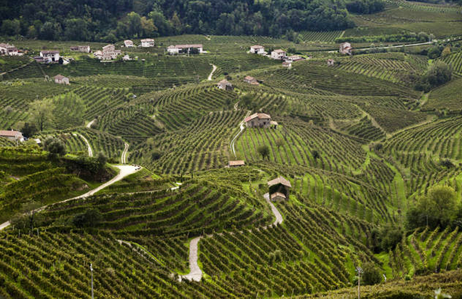 collineprosecco