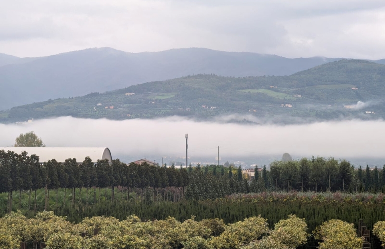 Progetto di Distretto: 42 aziende vivaistiche di Pistoia rendicontano il 100% degli investimenti