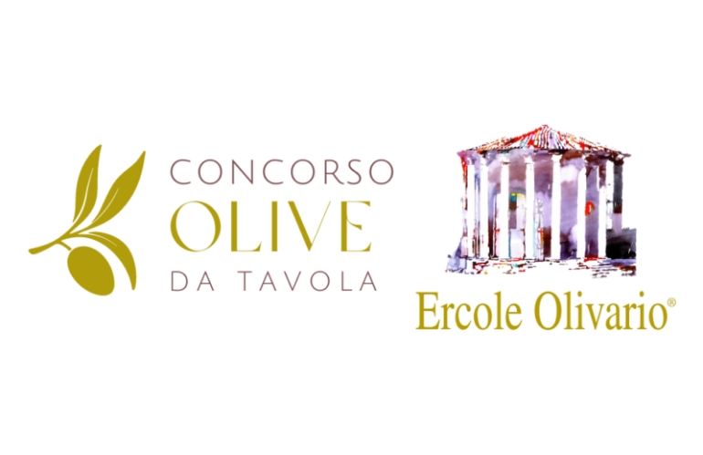 Premio Olivario – Sezione Olive da Tavola 2024: iscrizioni aperte concorsi filiera olivo olio