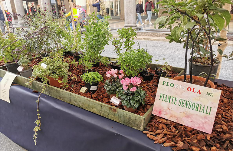 A Torino per Pasqua c’è Floricola, mostra mercato di piante e fiori