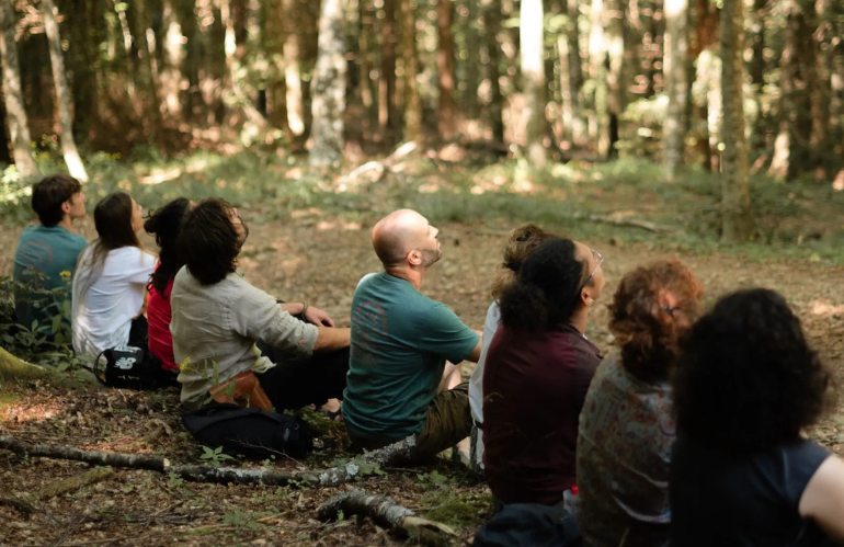 bagno di foresta Mindwoodness