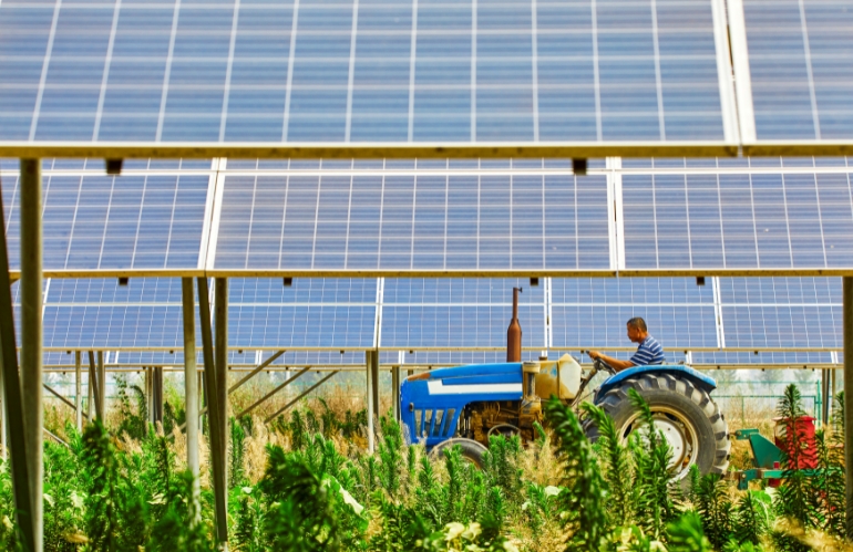 Fotovoltaico agricolo: al via il terzo bando PNRR per le imprese del Sud