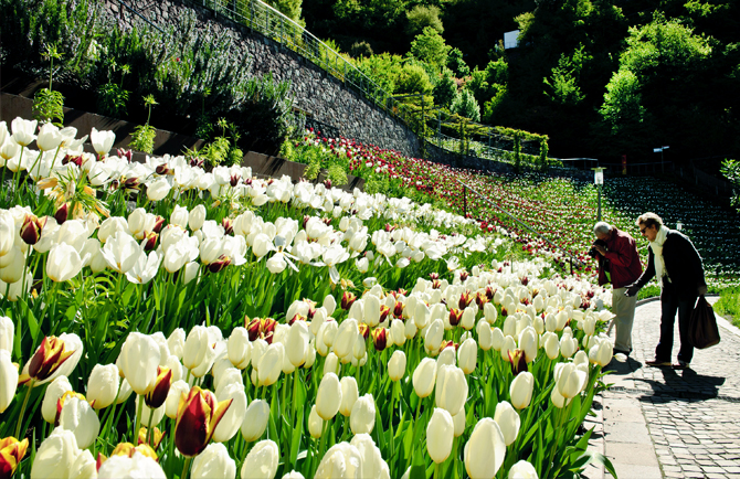 floraviva, giardini, Sissi, Merano