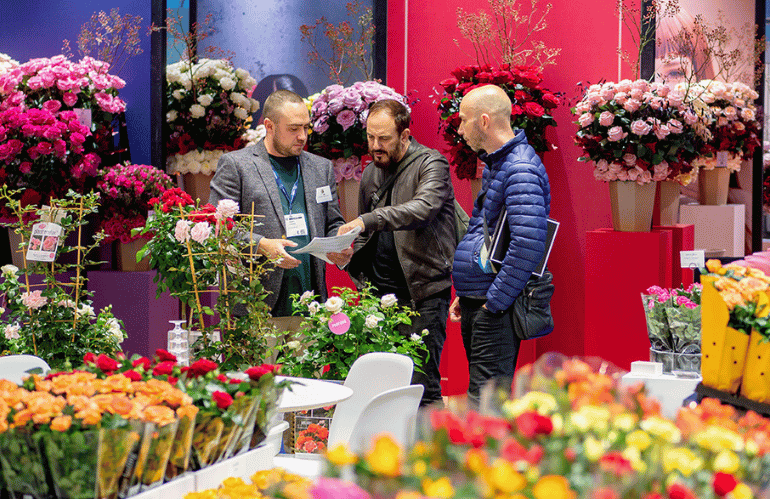 iftf rose in contrattazione