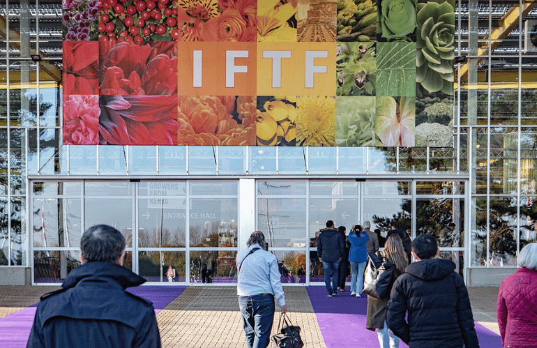 iftf entrance
