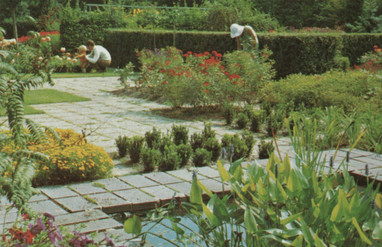 mien ruys new perennial