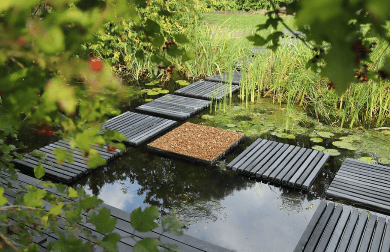 mien ruys new perennial 