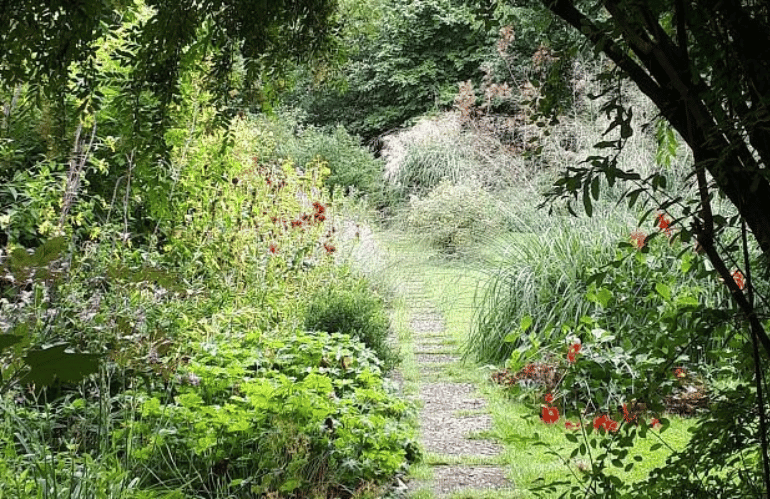 mien ruys new perennial