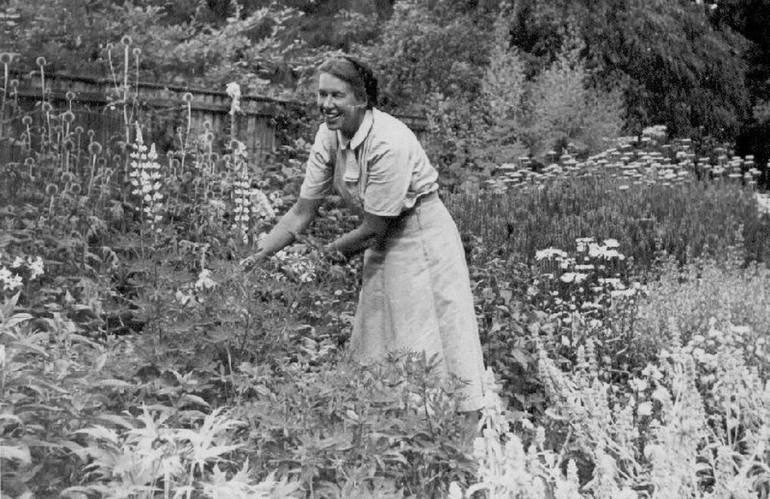 mien ruys new perennial