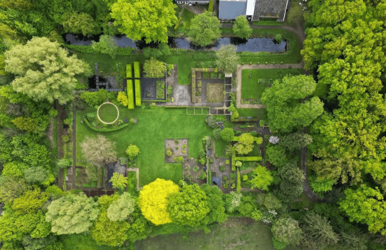 mien ruys new perennial