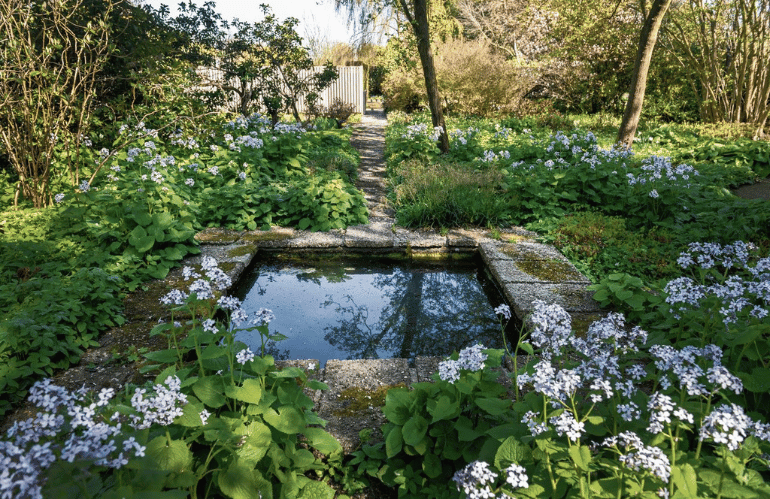 mien ruys new perennial