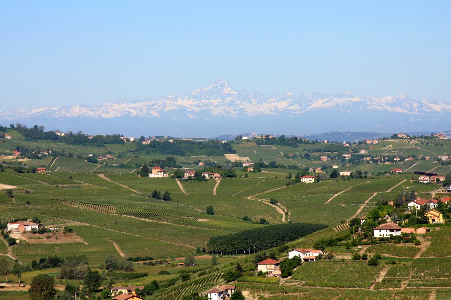 paesaggio Monferrato