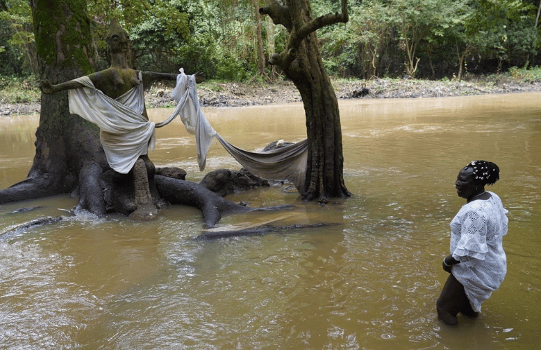 Foresta sacra Osun Osogbo Nigeria
