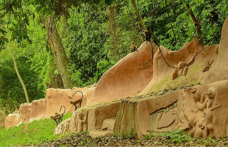 Paesaggio forestale Osun Osogbo Nigeria