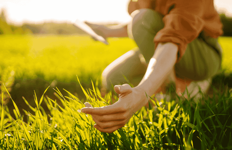 giovane accarezza prato