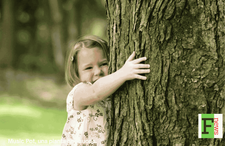 CONAF: CINQUE LINEE GUIDA SU VERDE URBANO E RISCHIO ARBOREO