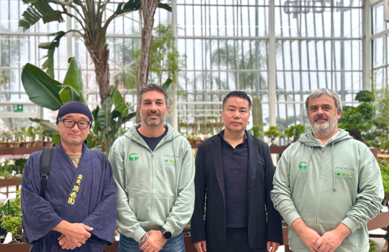 vista Omiya, Giappone a Franchi Bonsai