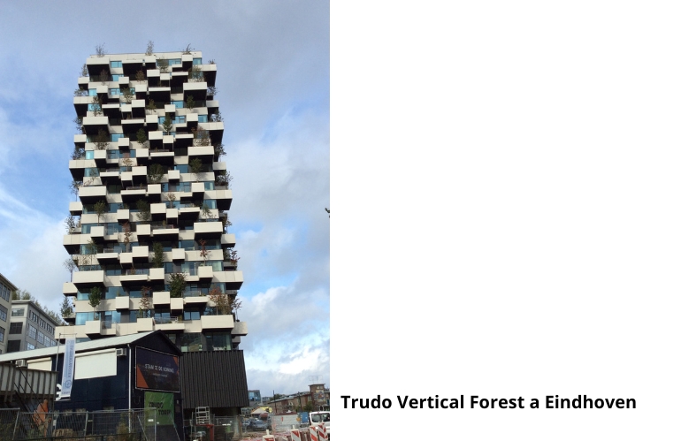 trudo_vertical_forest.jpg