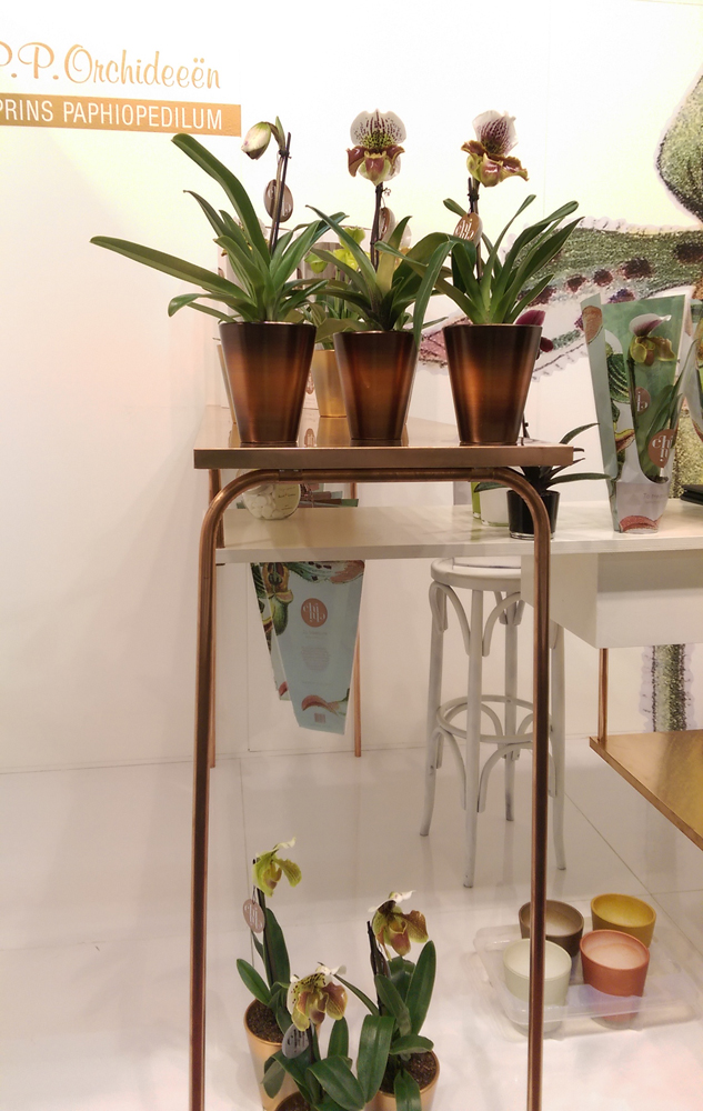 IFTF 2015_11