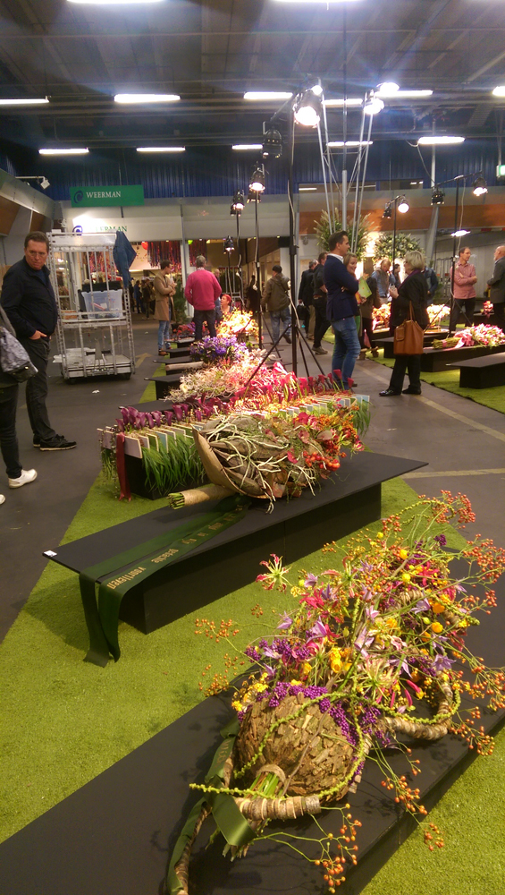 IFTF 2015_22