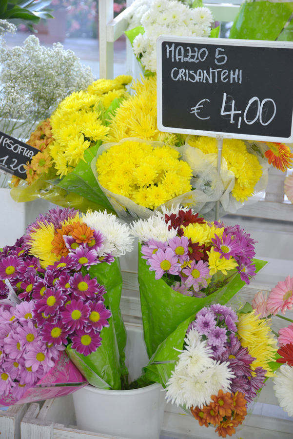 piante e fiori_4