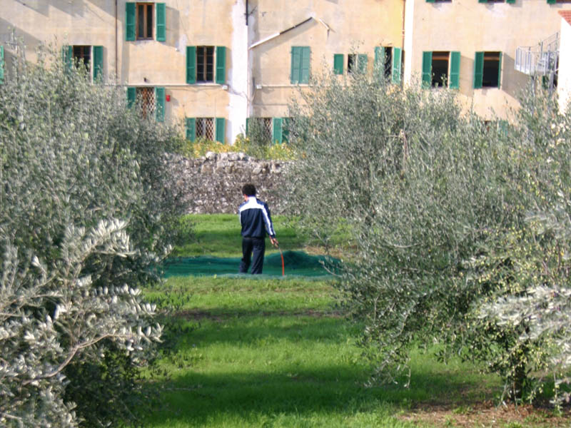Agrario pescia_27