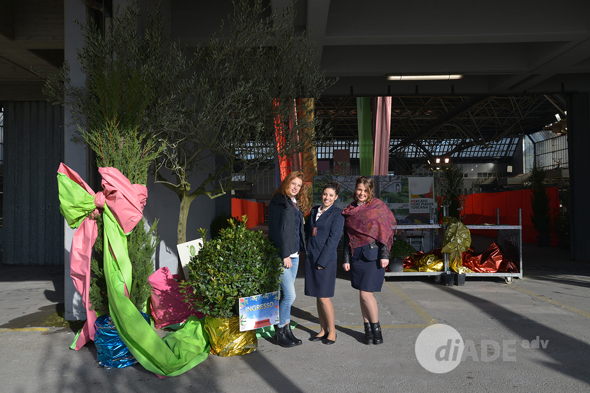 Report christmas flower trends 2015_8