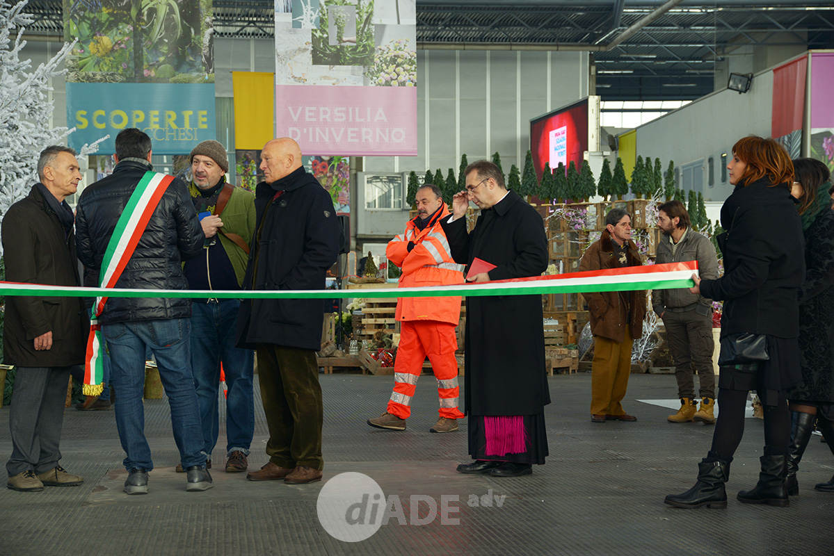 inaugurazione Christmas Flower Trends 2015_3
