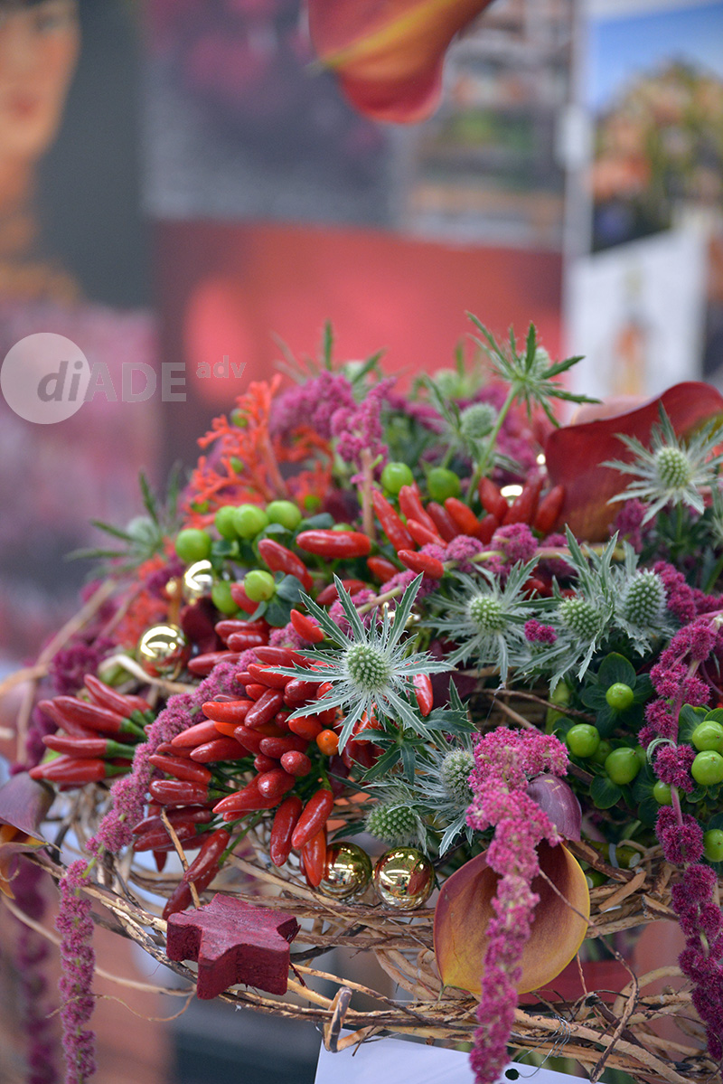 Rosso Buggiano_4