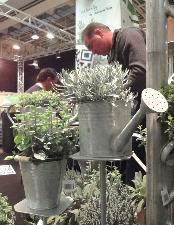 IPM Essen Appunti_5