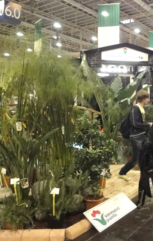 IPM Essen Made in Italy_4