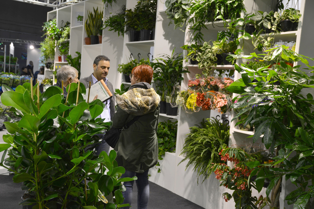 Piante, Myplant & Garden” - 22, 23, 24 febbraio 2017_13