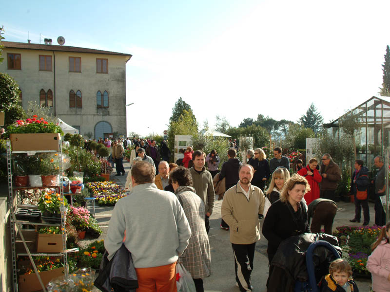 Floraviva 2009_58