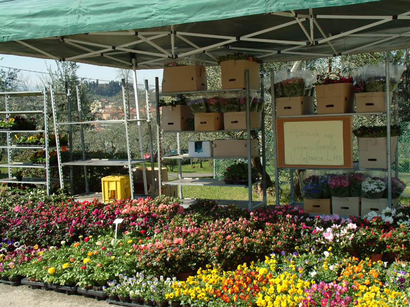 Floraviva 2009_67