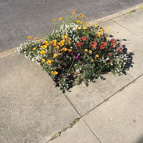 Street Art_9